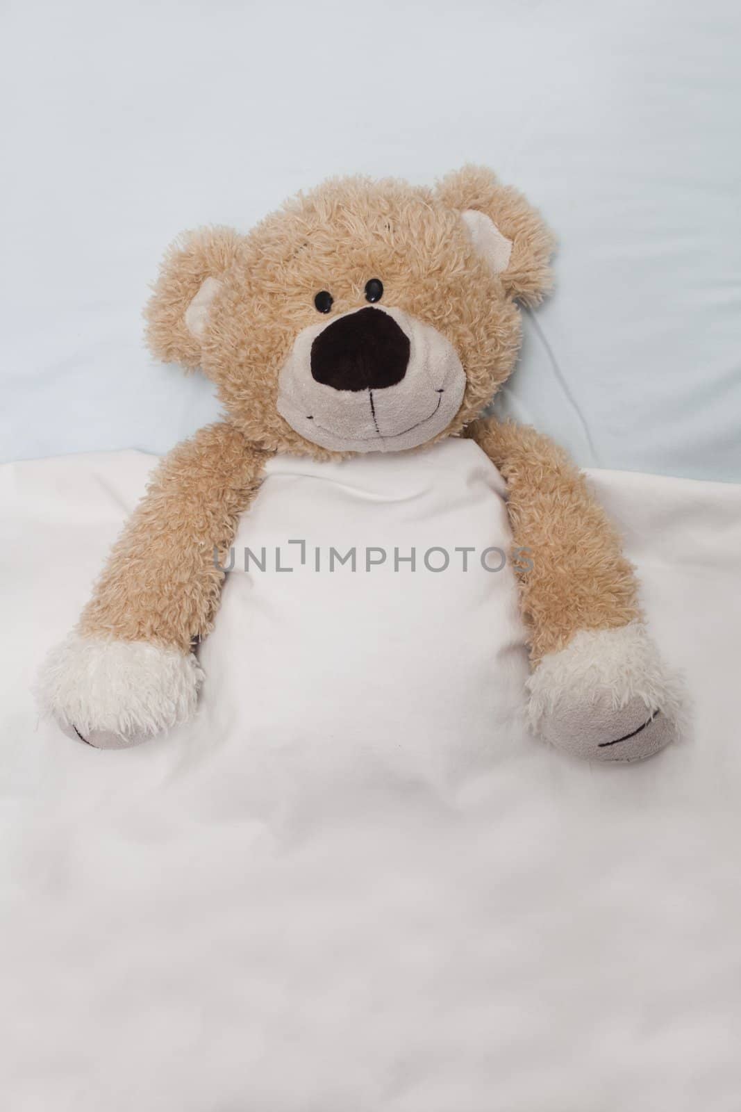 Teddy Bear Laying in Bed by Daniel_Wiedemann