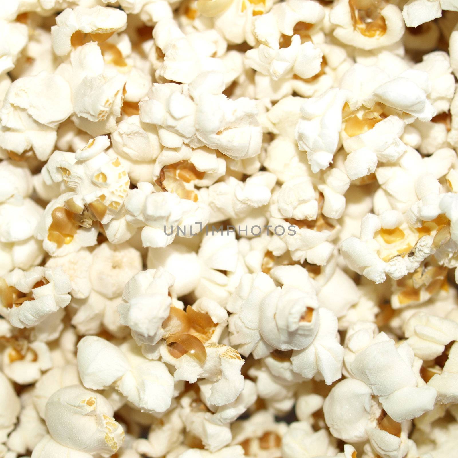 Pop Corn maize