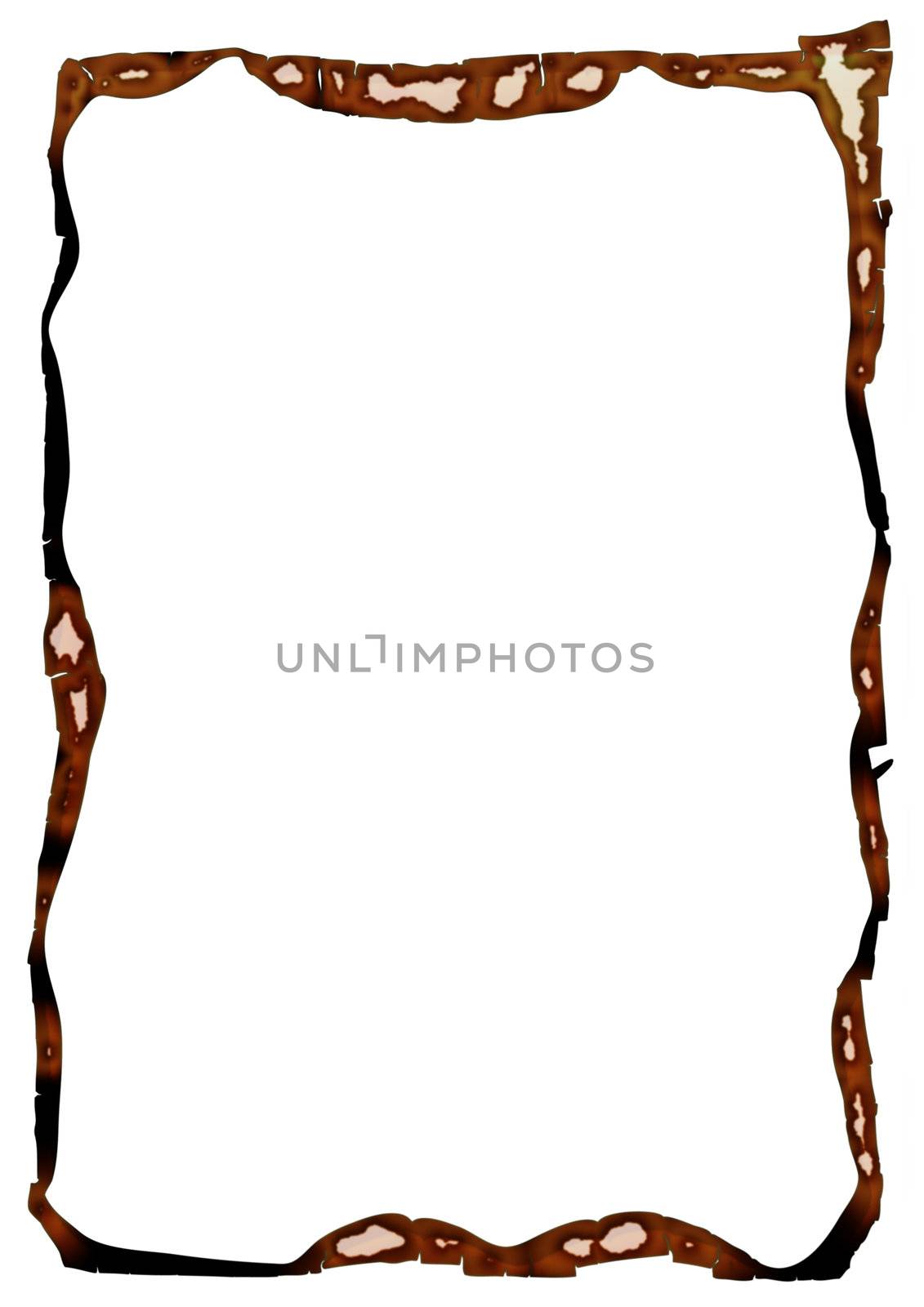 Image of the frame with charred edges