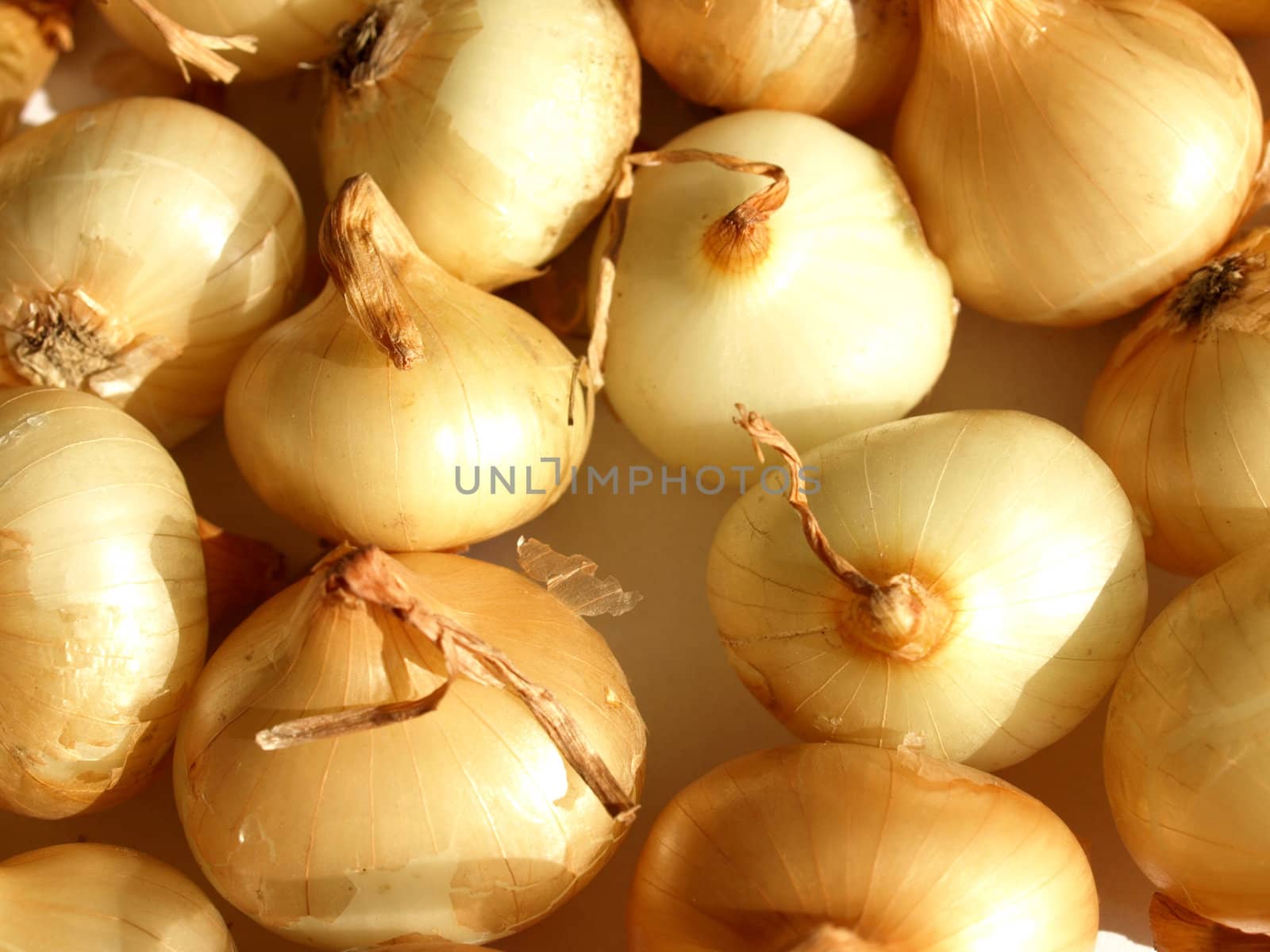 Onions by claudiodivizia