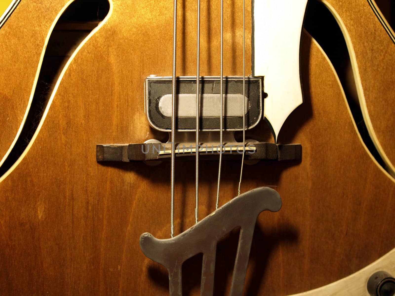 Bass by claudiodivizia