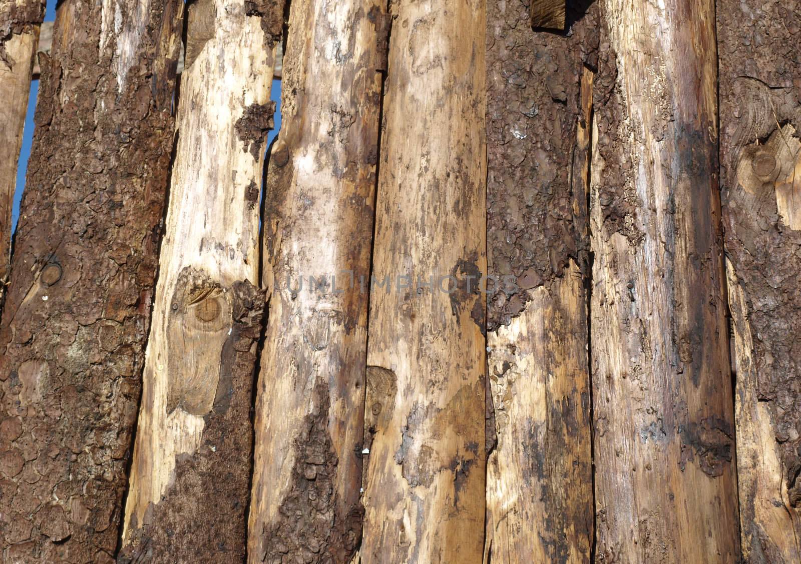 Old wood logs or plank board background