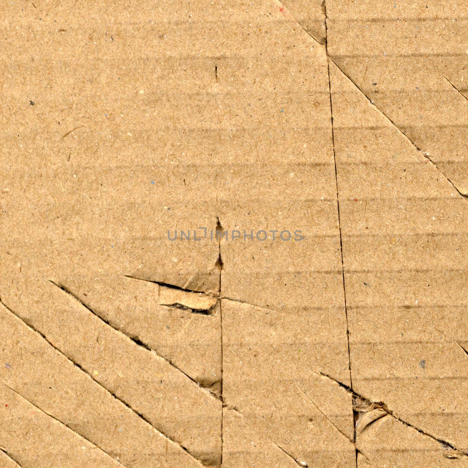 Brown torn corrugated cardboard sheet background with cuts