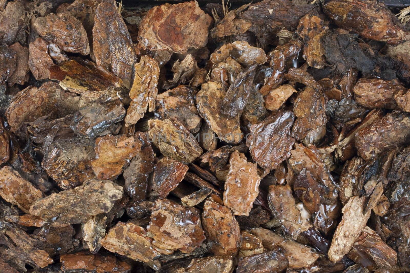 background of damp western bark nuggets used for gardening and landscaping