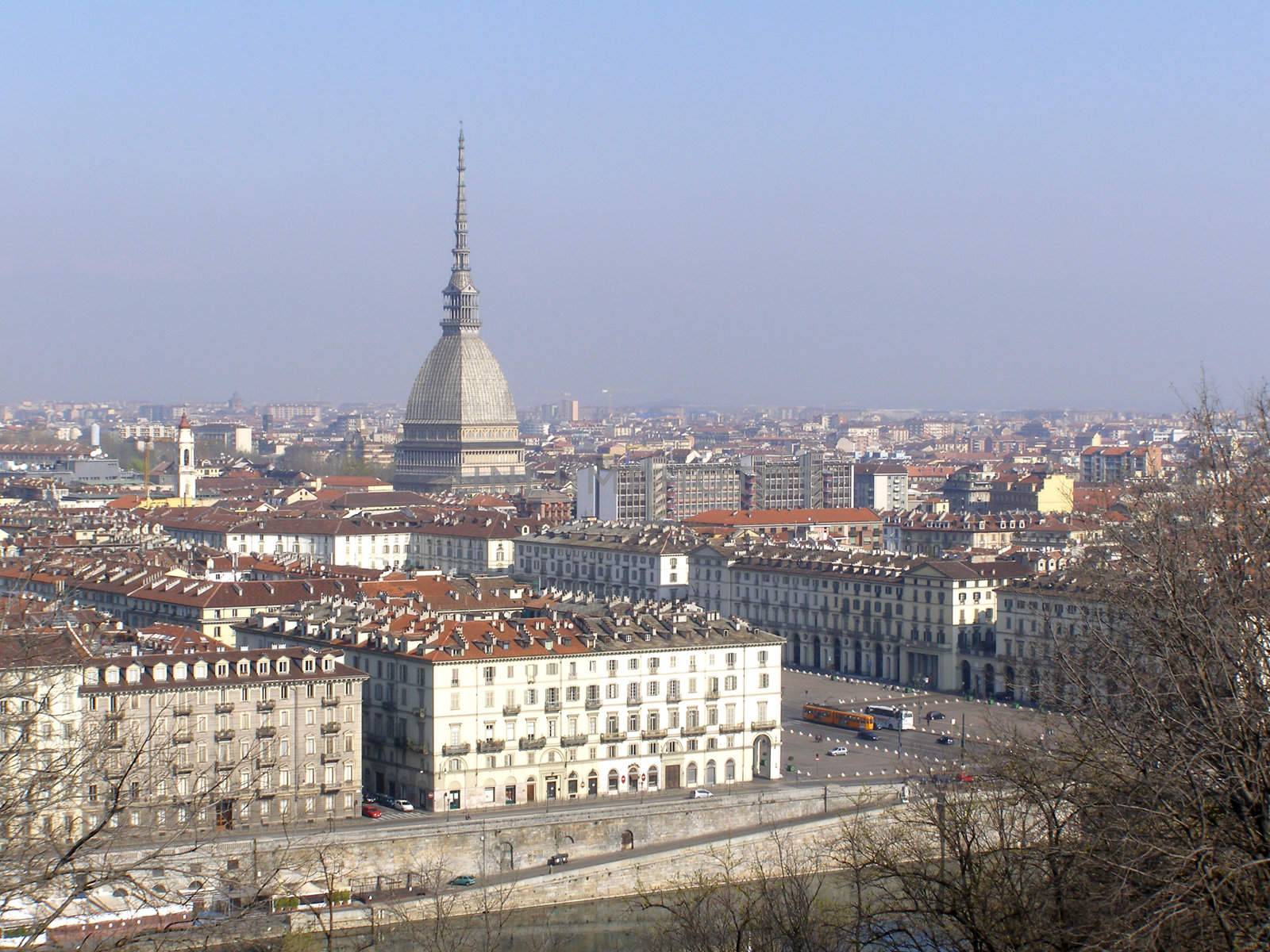 Turin panorama seen from the hill