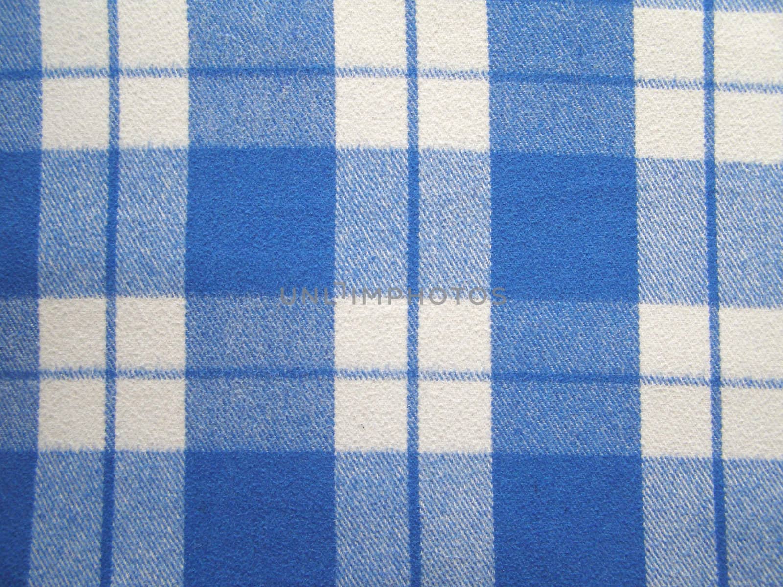 Blue and white checks fabric