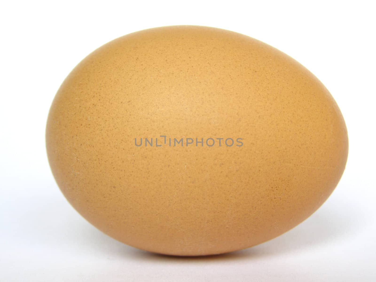 Isolated egg