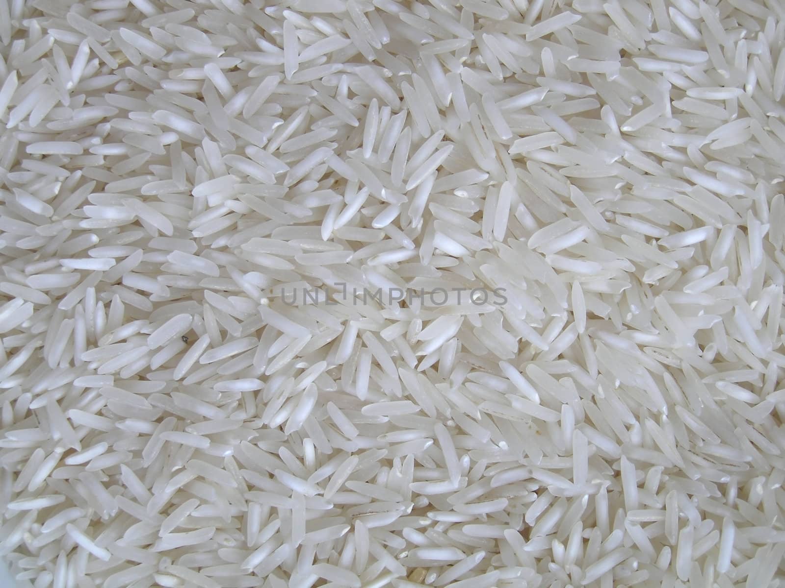 Indian Basmati rice