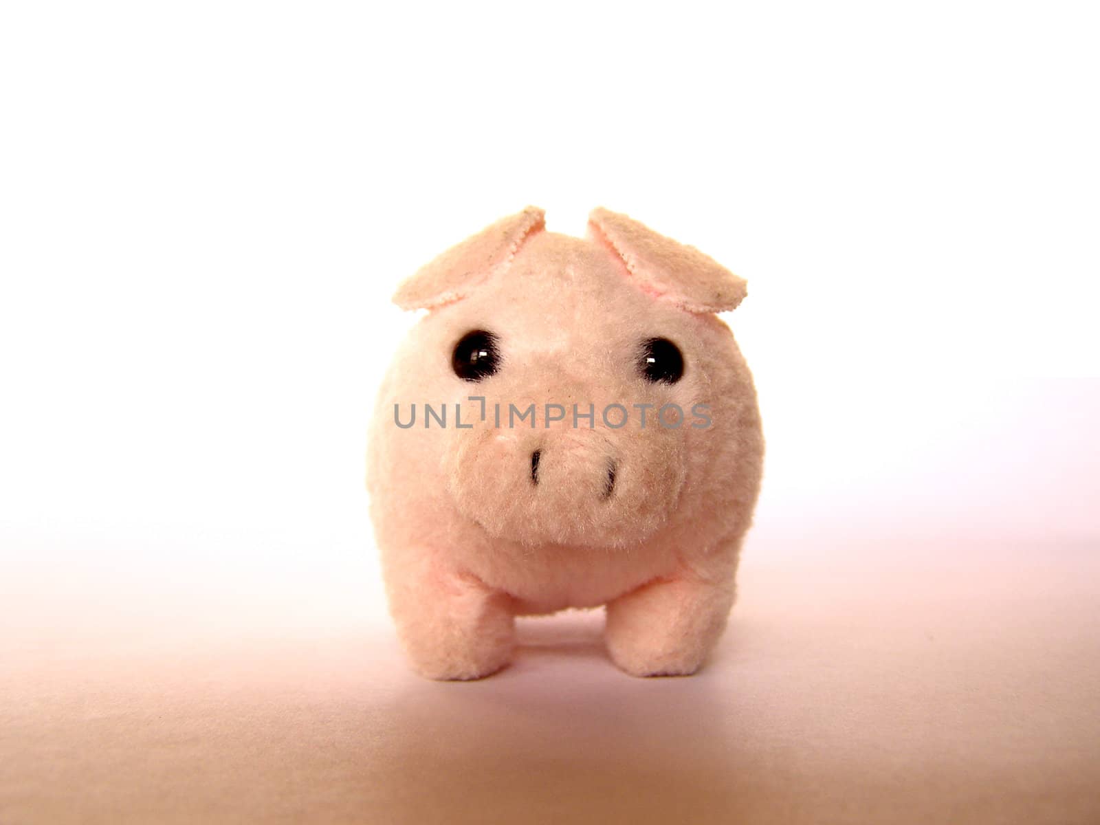 Pink peluche pig