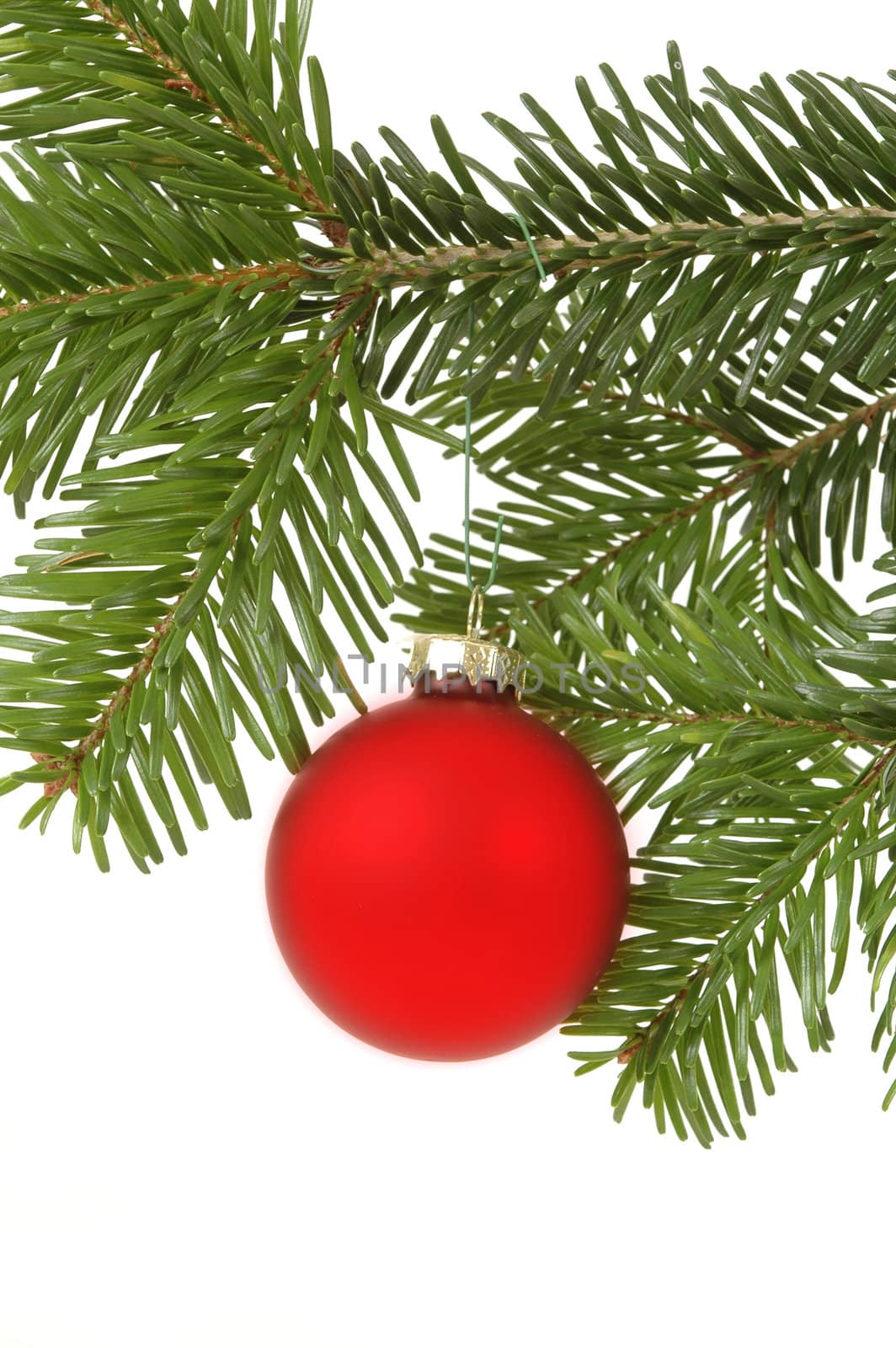 Christmas ball hanging in a christmas tree