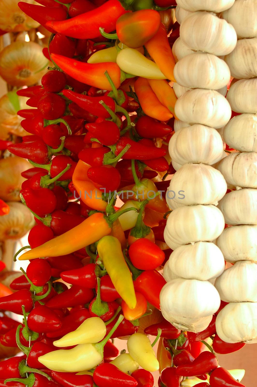 Spices hanging in rows by cfoto