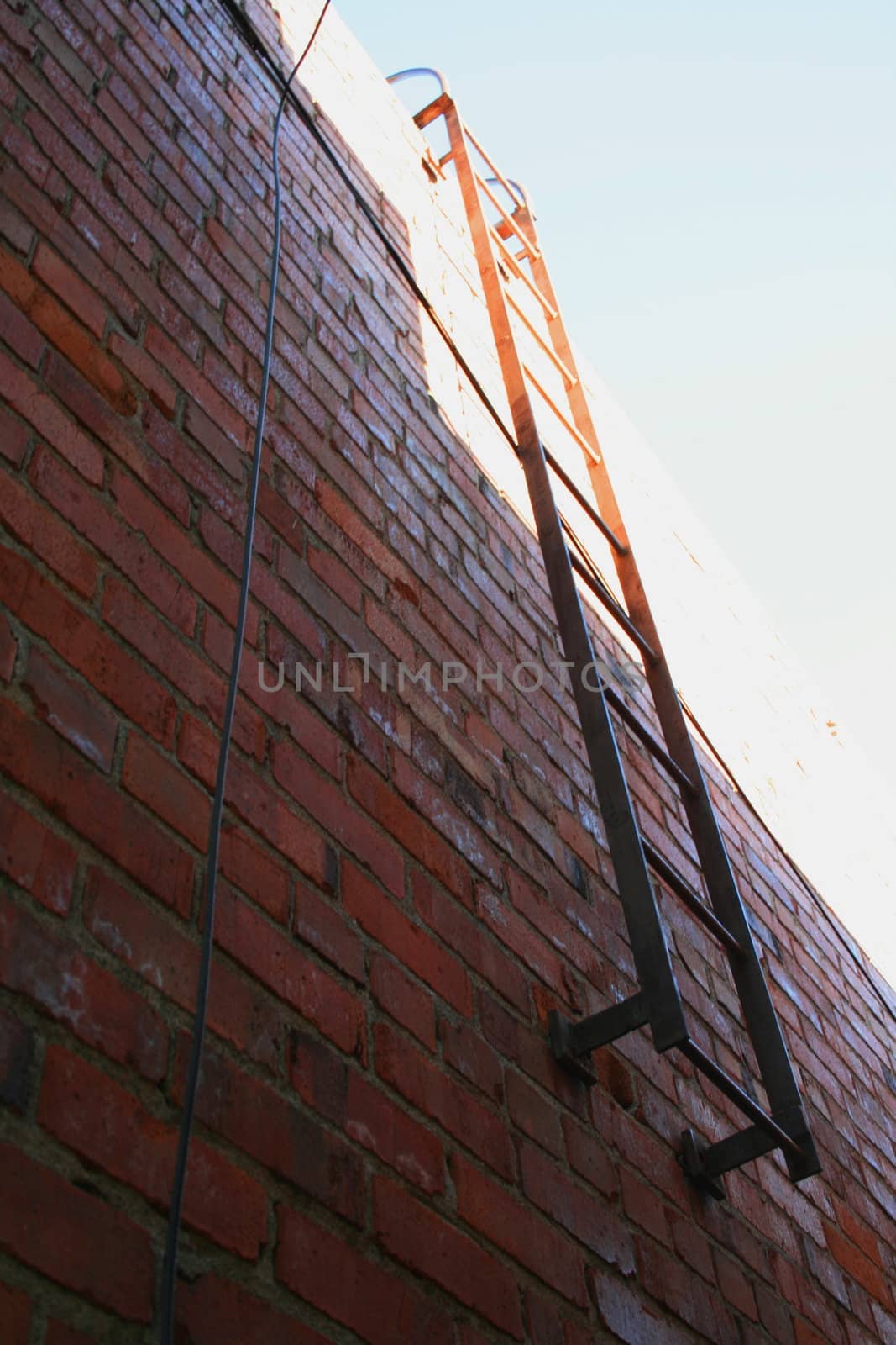 Ladder on a brickwall over blue sky showing unique pattern.
