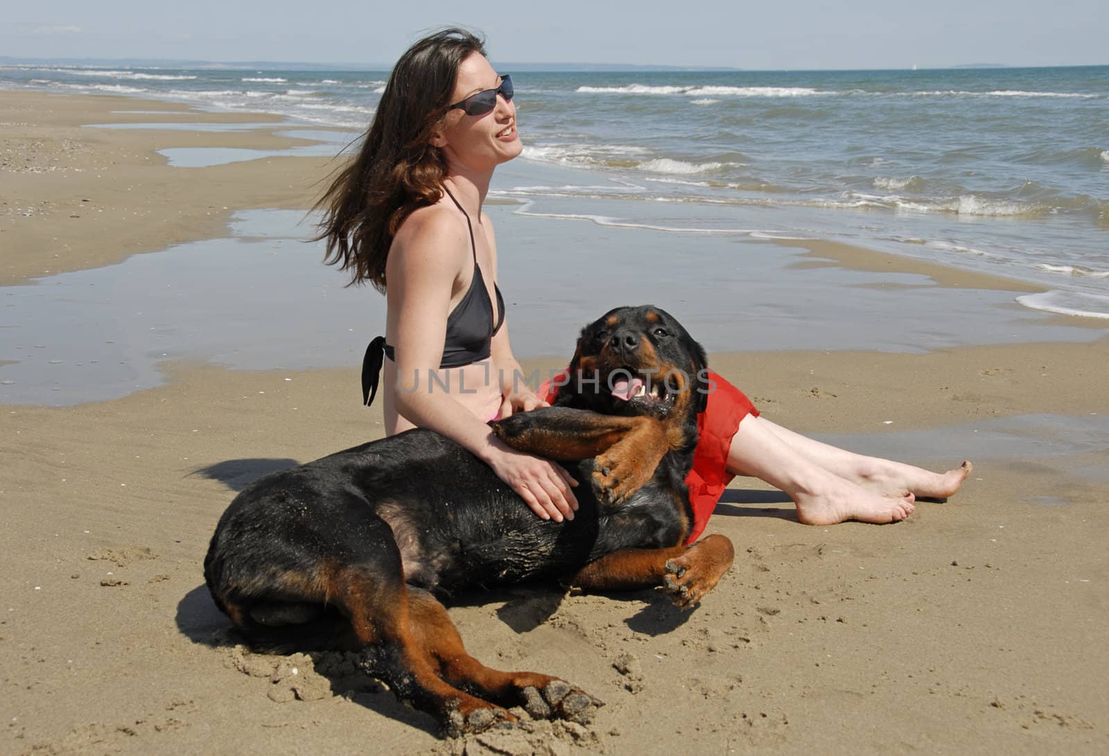 beautiful girl and purebred rottweiler on the beach