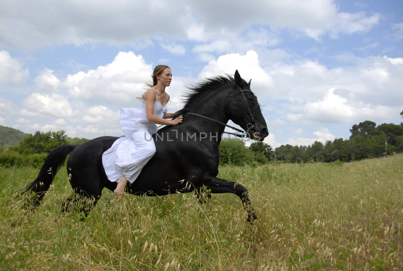 galloping beautiful wedding woman on her black stallion
