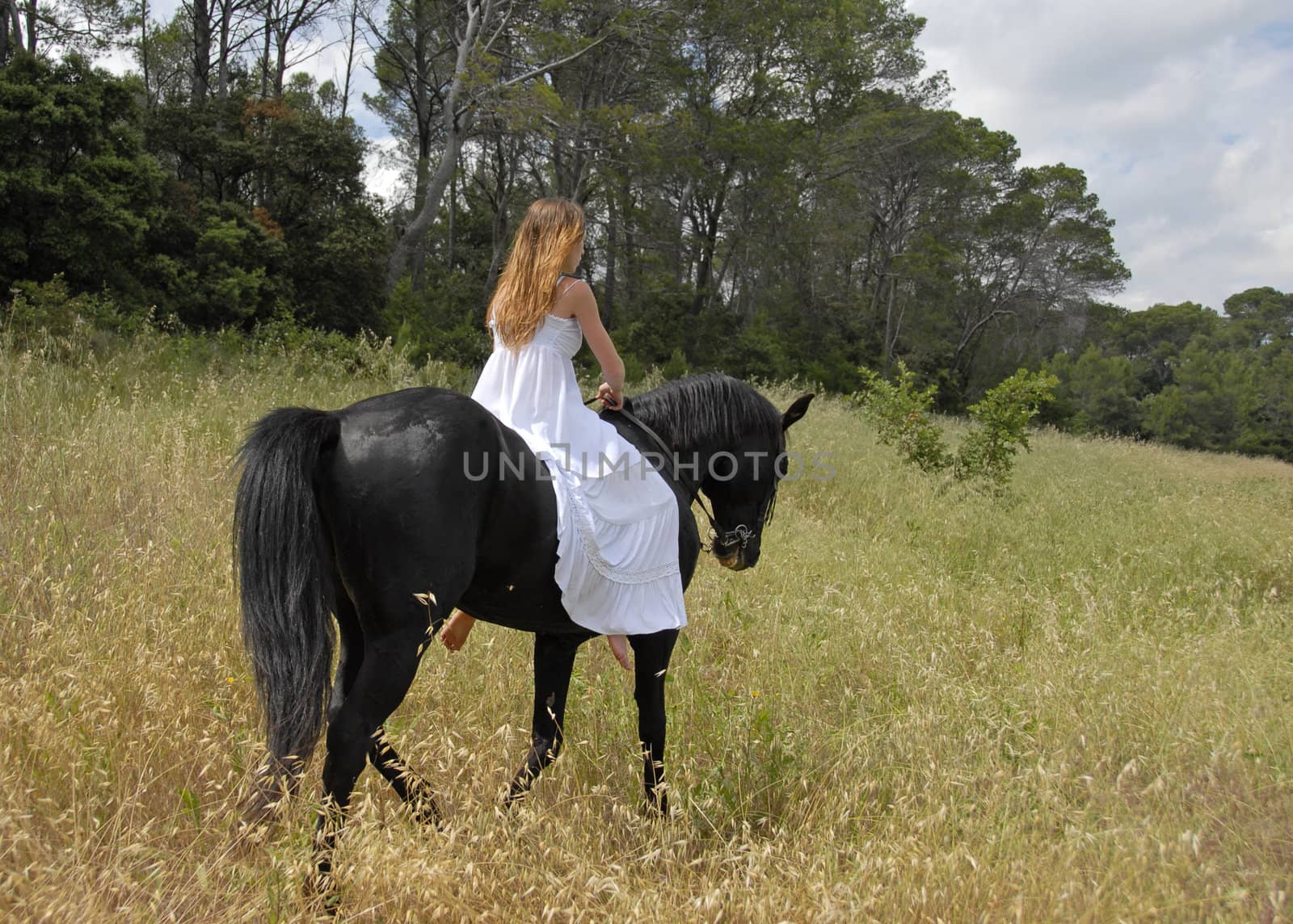 young woman in a wedding dress on a black stallion