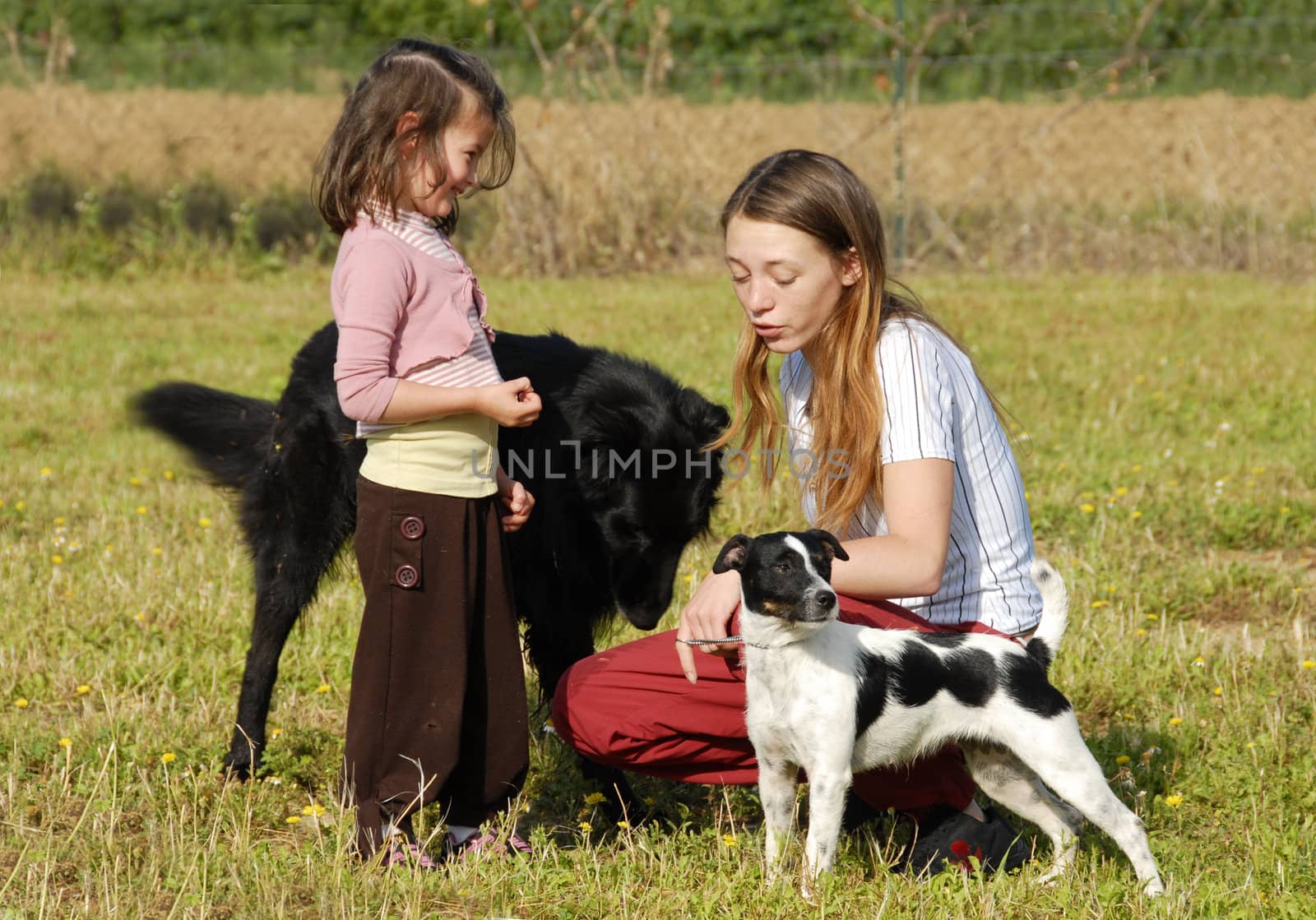 two sisters in a field with their dogs