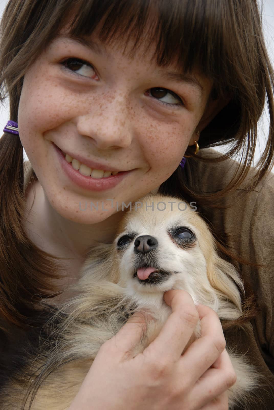 little girl and her dog purebred chihuahua