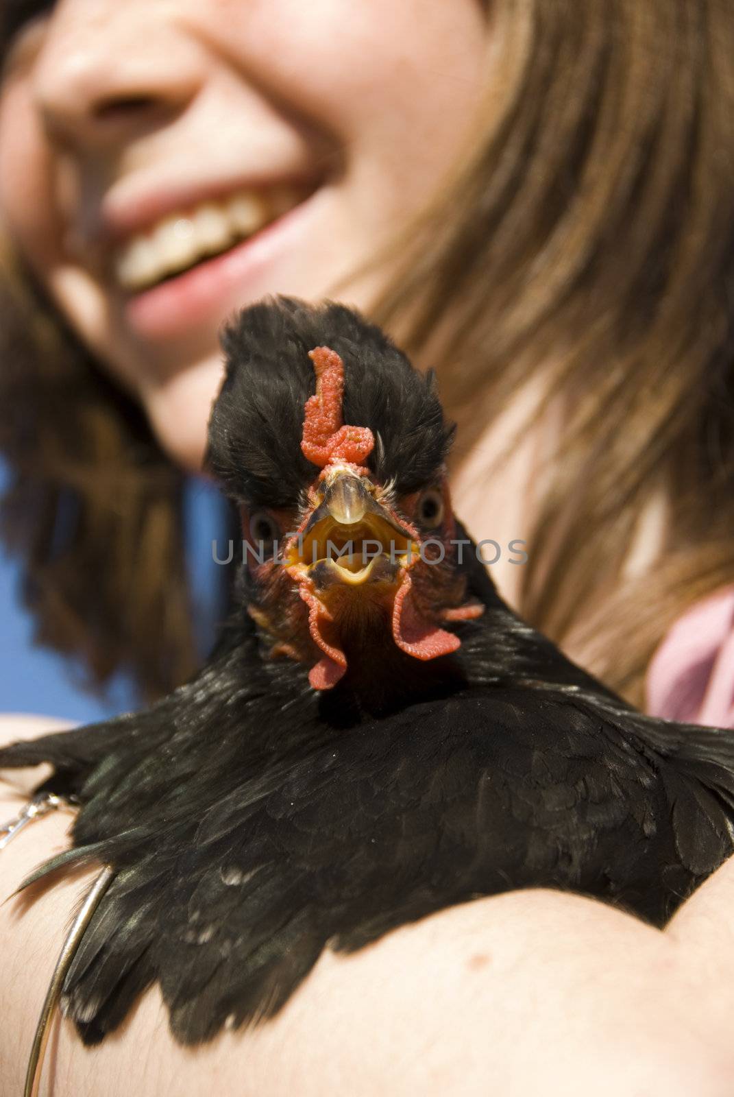 happy young girl and her little black chicken in her arm; focus on the beak
