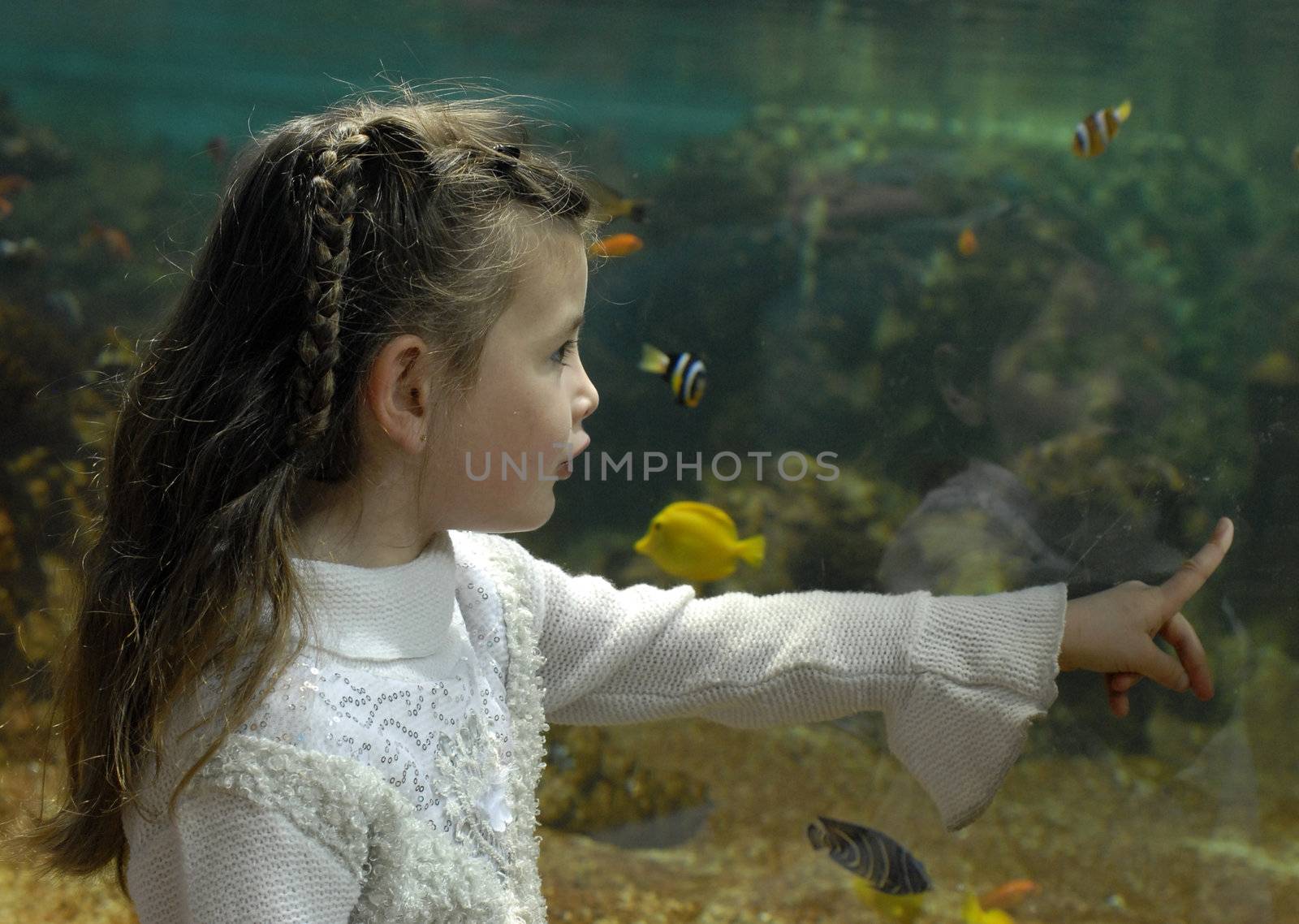 little girl in front of a big tank