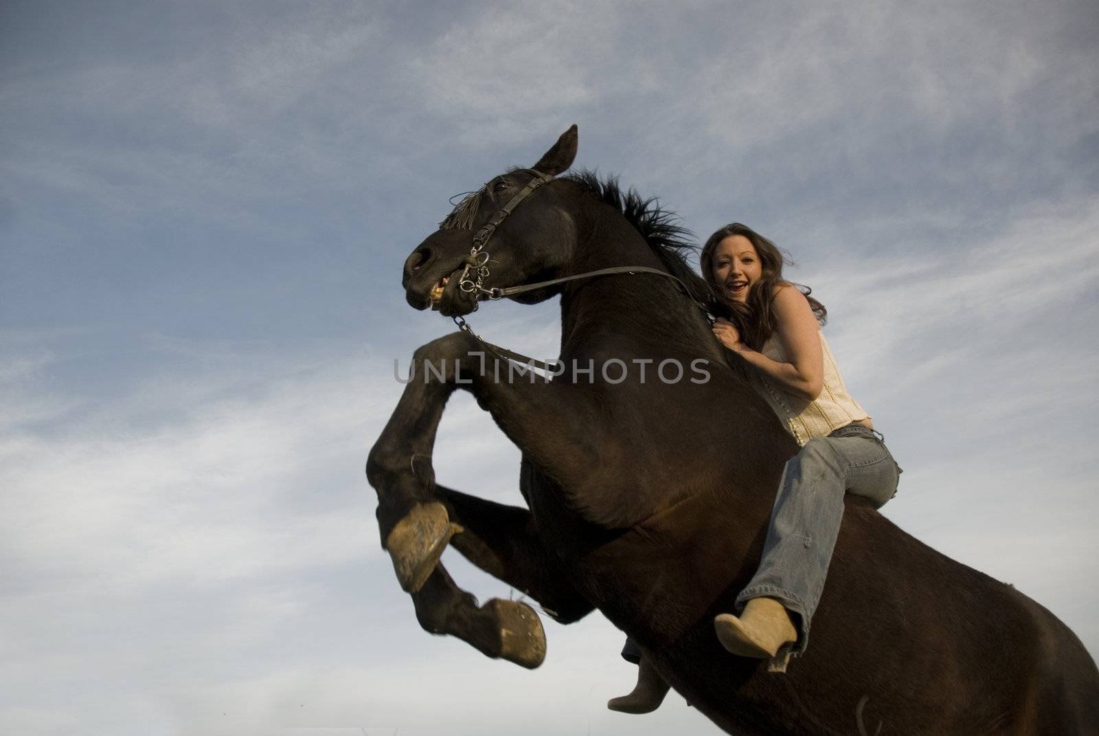 happy girl and rearing stallion by cynoclub