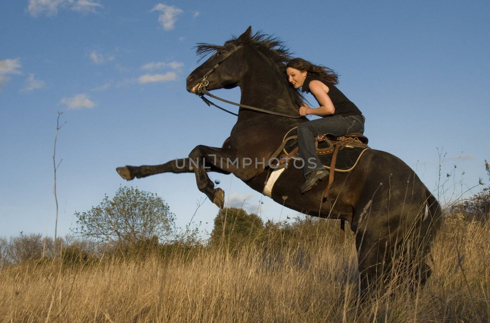 rearing black stallion and happy young woman