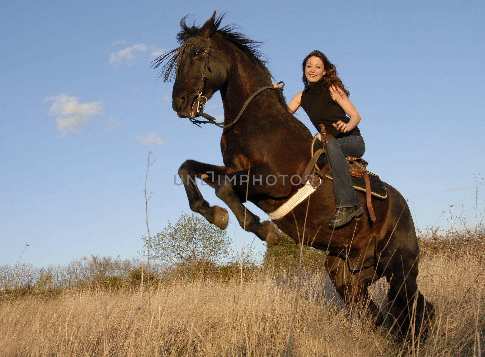 rearing black stallion and happy young woman in a field