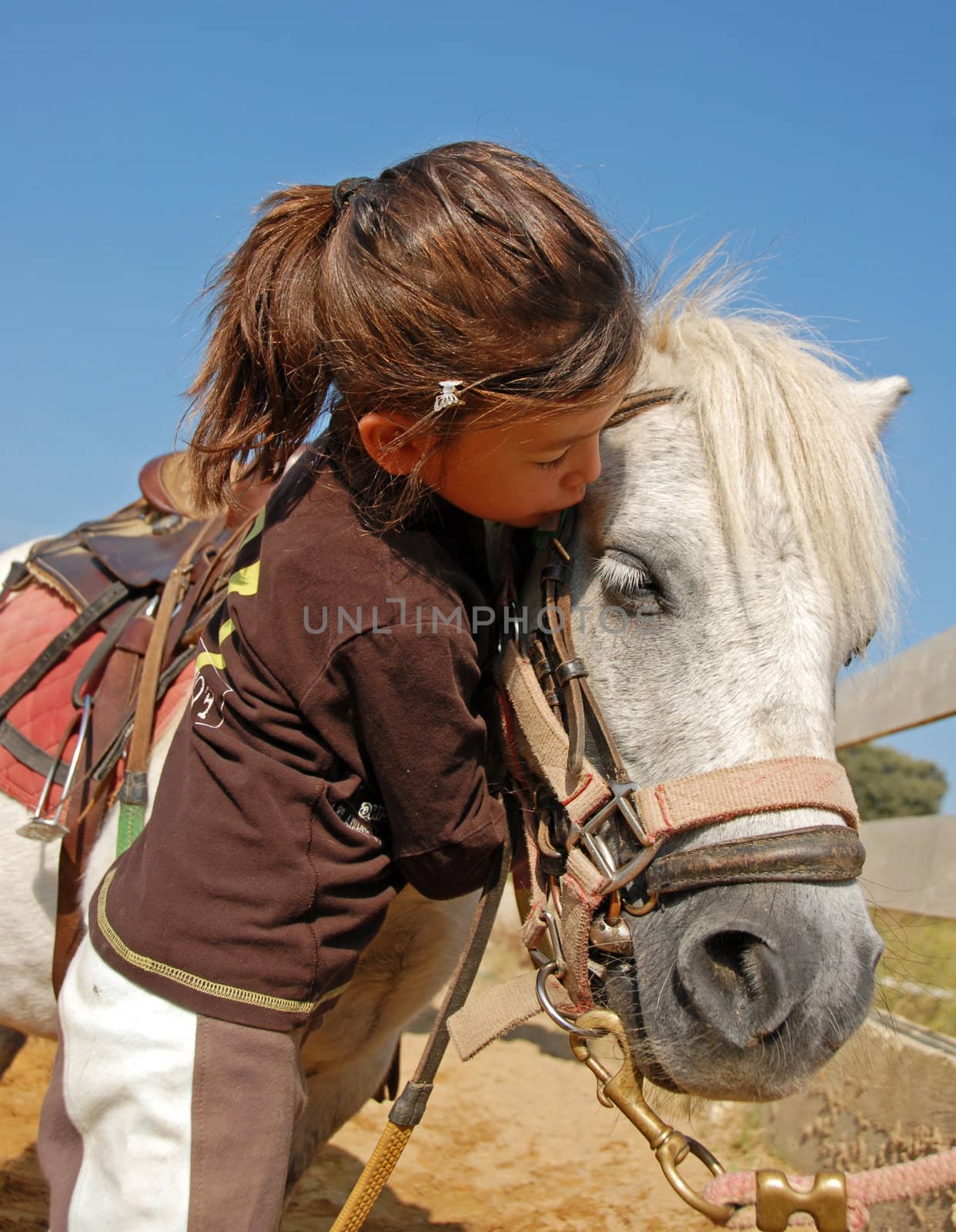little girl kissing her best friend shetland pony