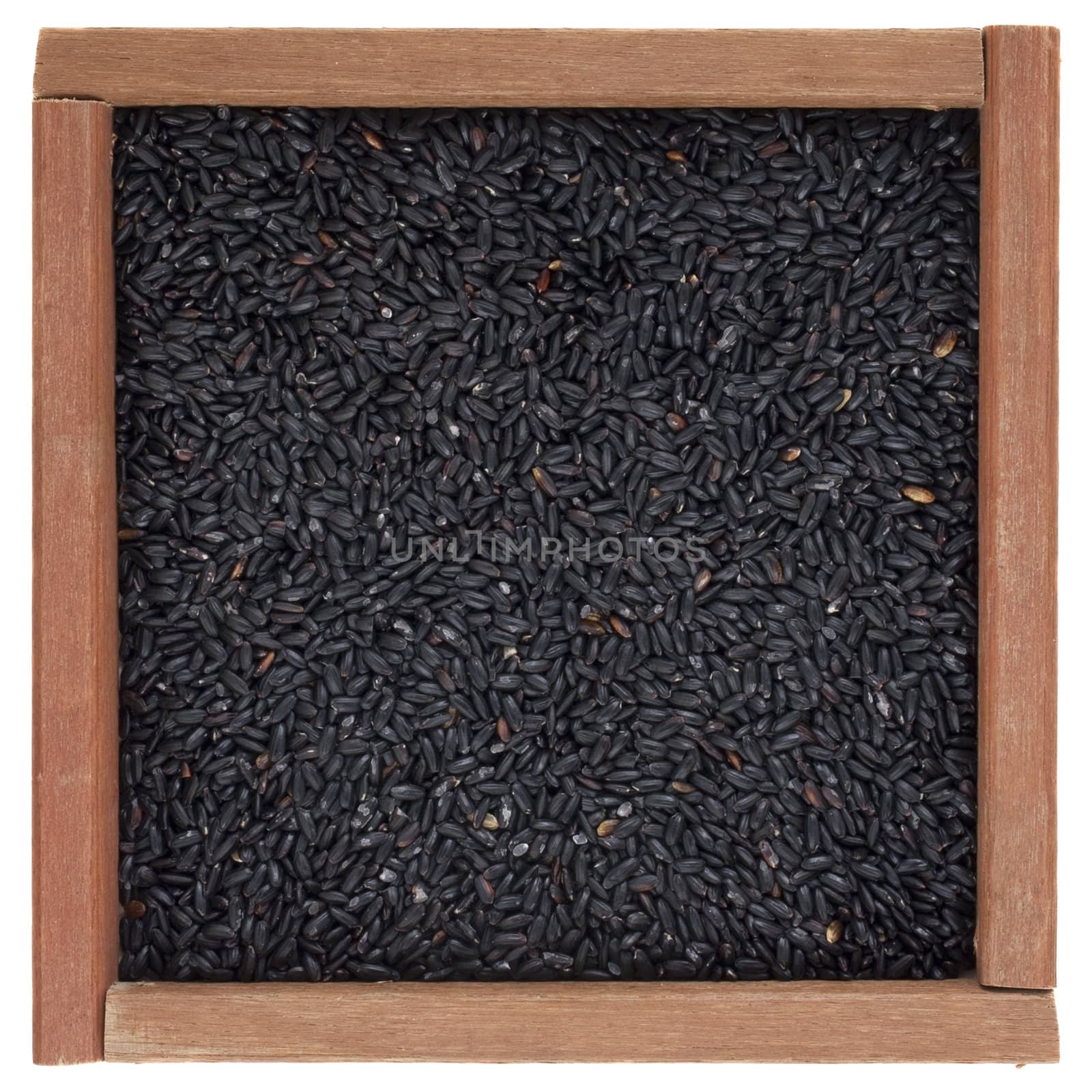 Chinese black forbidden rice in a square wooden box or frame, isolated on white