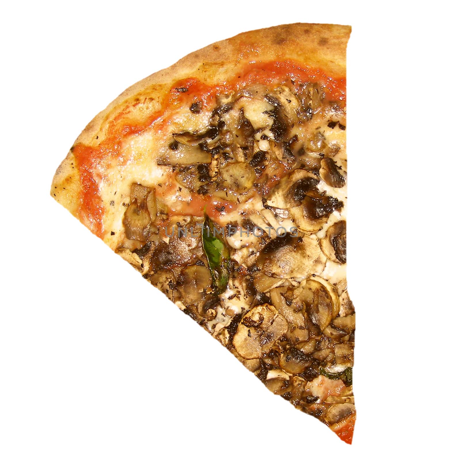 Slice of mushroom pizza