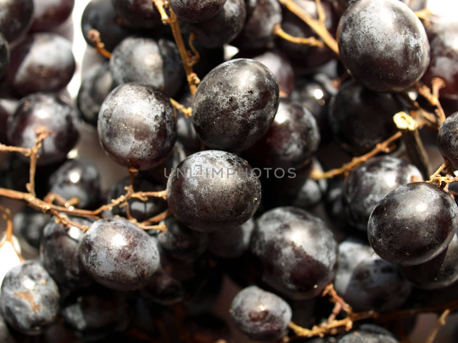 Grape by claudiodivizia