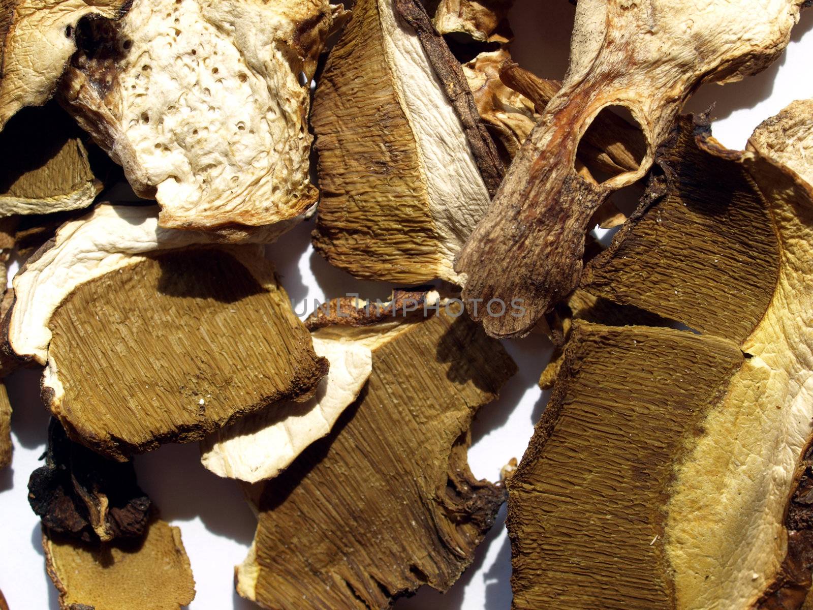 Dried mushrooms