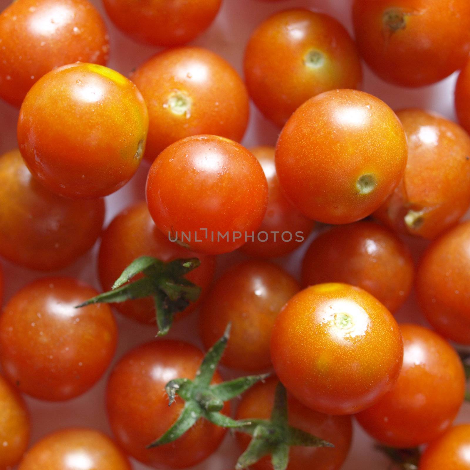 Red cherry tomato vegetables