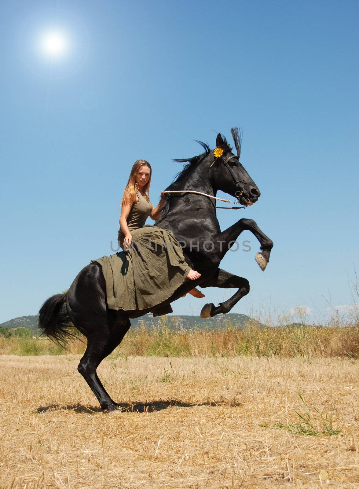 young woman and her rearing stallion in a field in spring