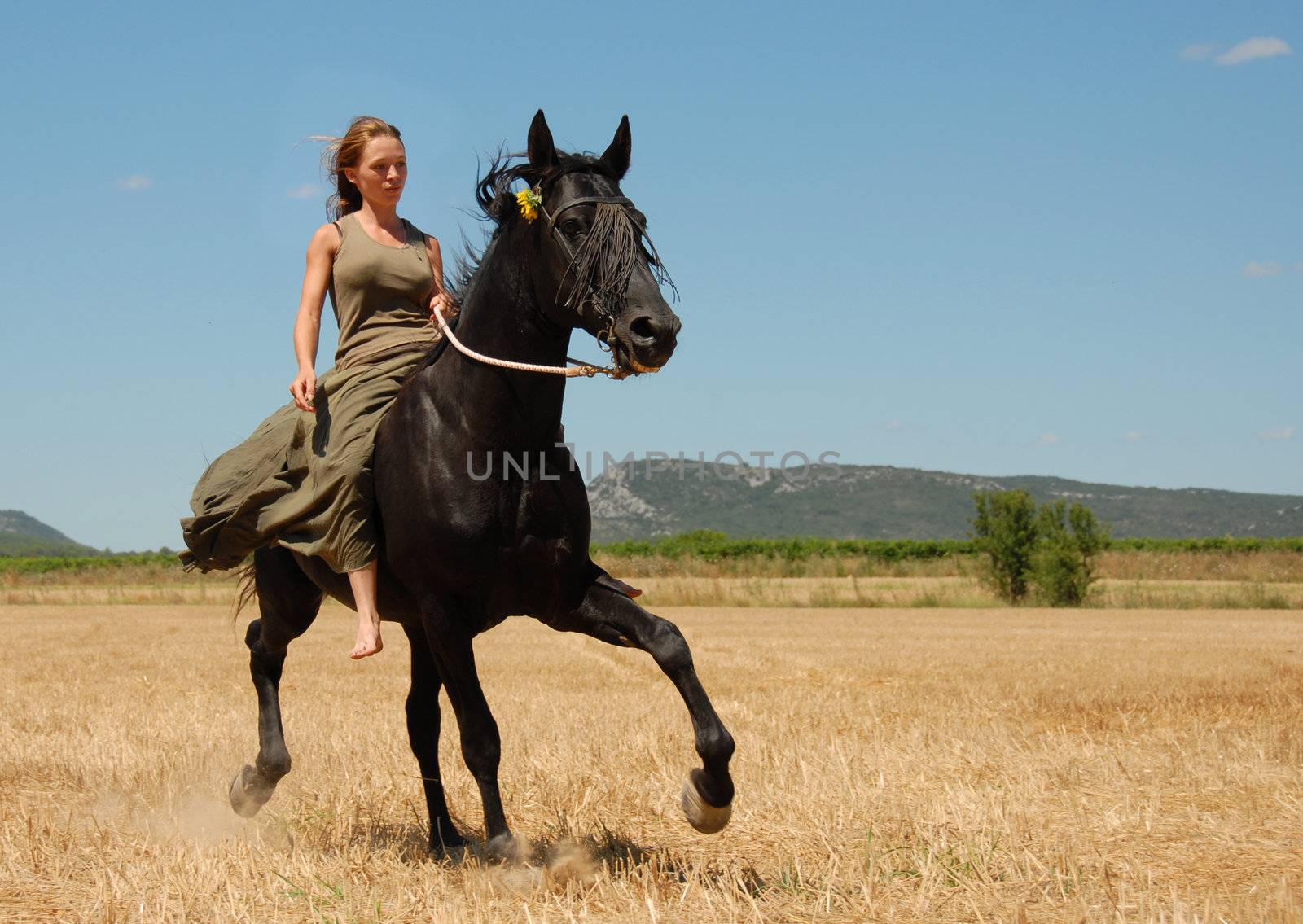 young woman and her black stallion in a meadow