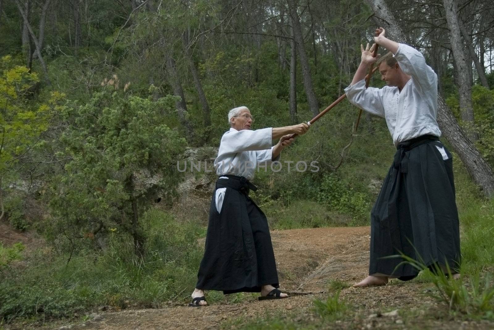 Two adults (young man and senior) are training in Aikido in a forest