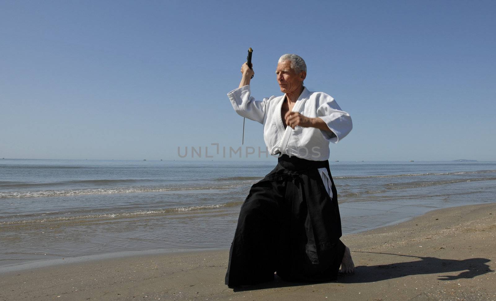 training of Aikido by cynoclub