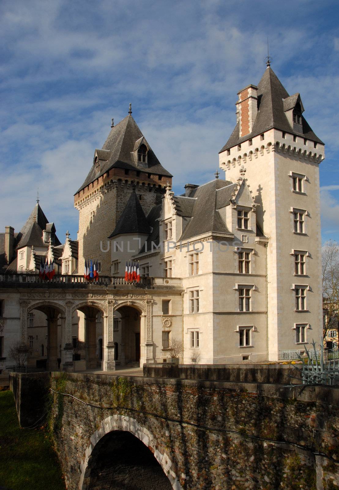 Castle of Pau by cynoclub