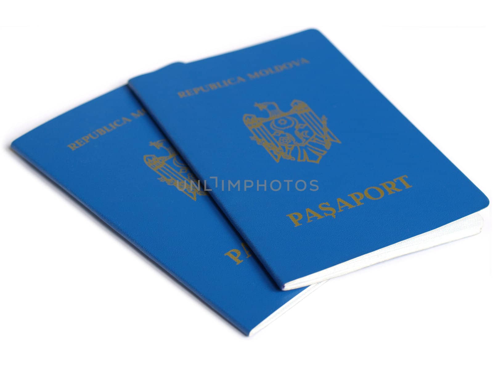 Passport document id