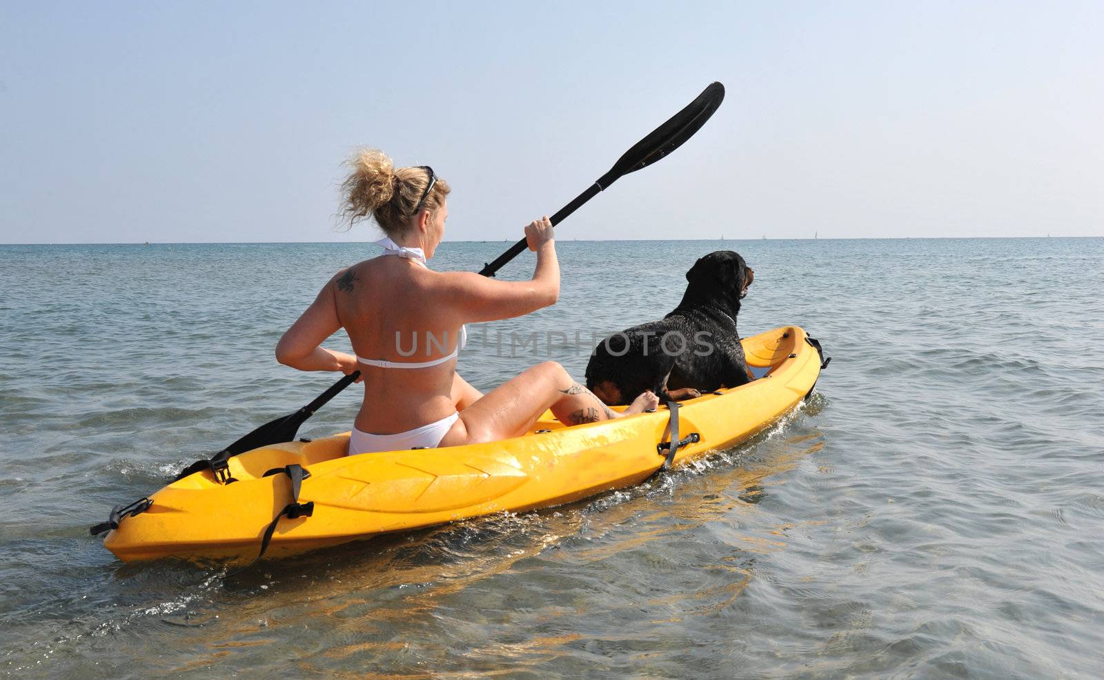 woman and og on a kayak by cynoclub