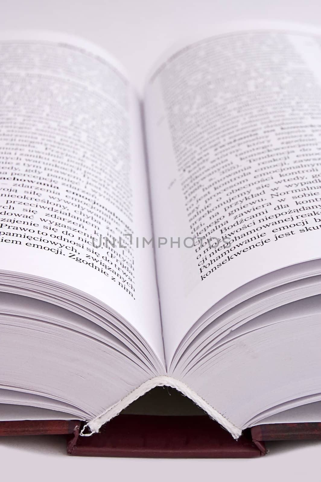 thick book isolated on white