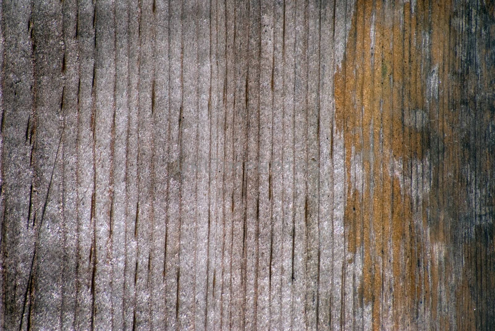 Wood grain in an old weathered board for grunge background use.