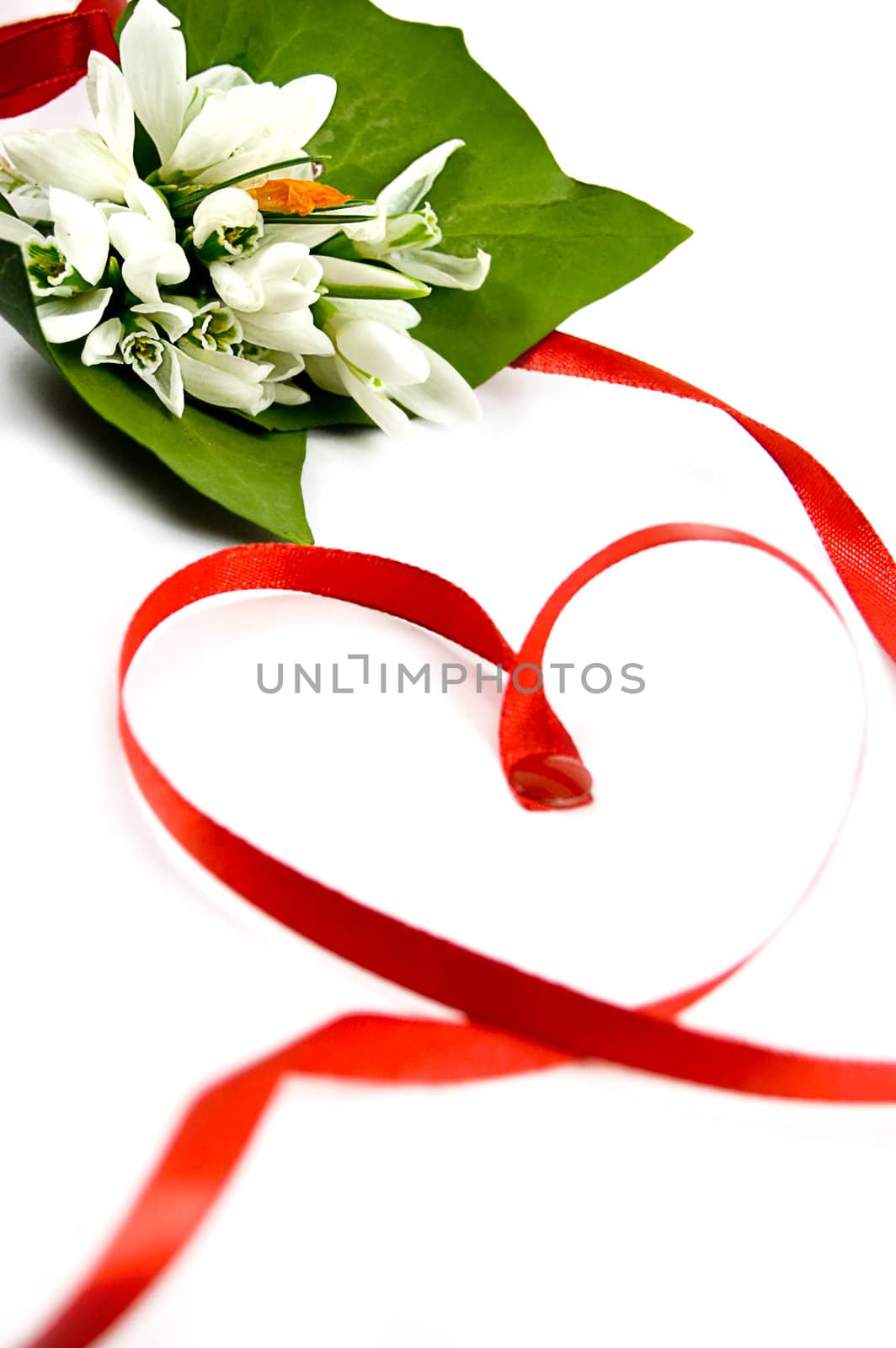 bouquet of snowdrops with twisted red ribbon in heart shape