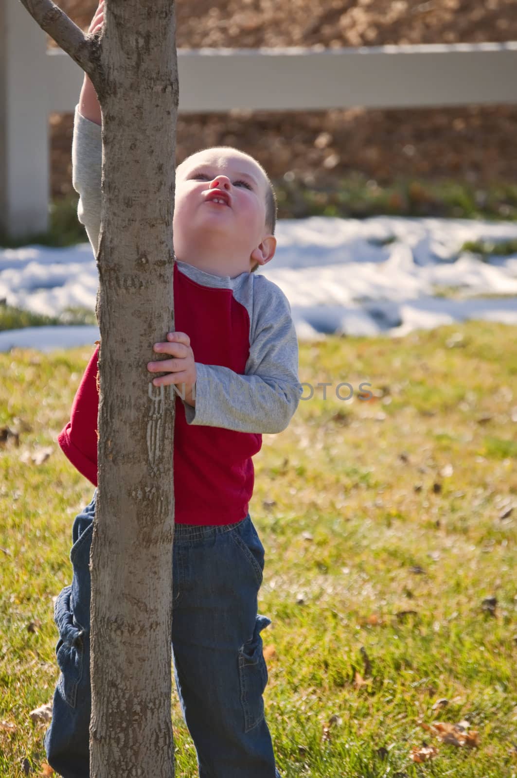 Little boy wanting to hang from a small tree like his sister did earlier