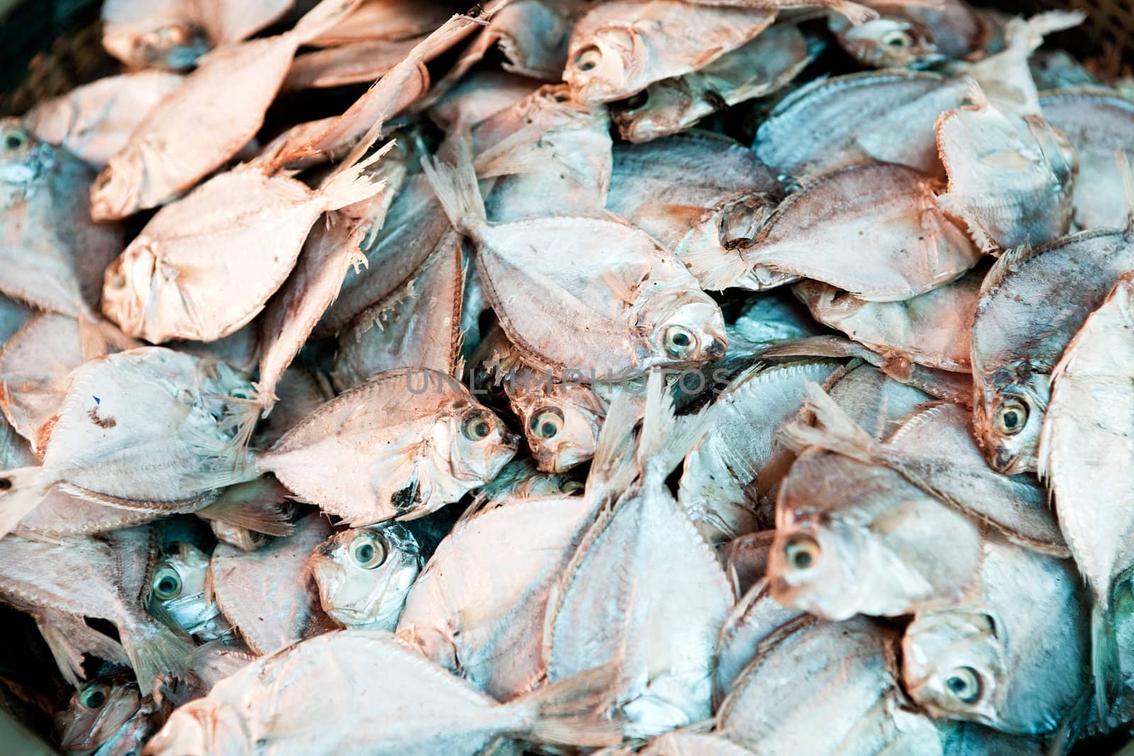 A background of dried white fish