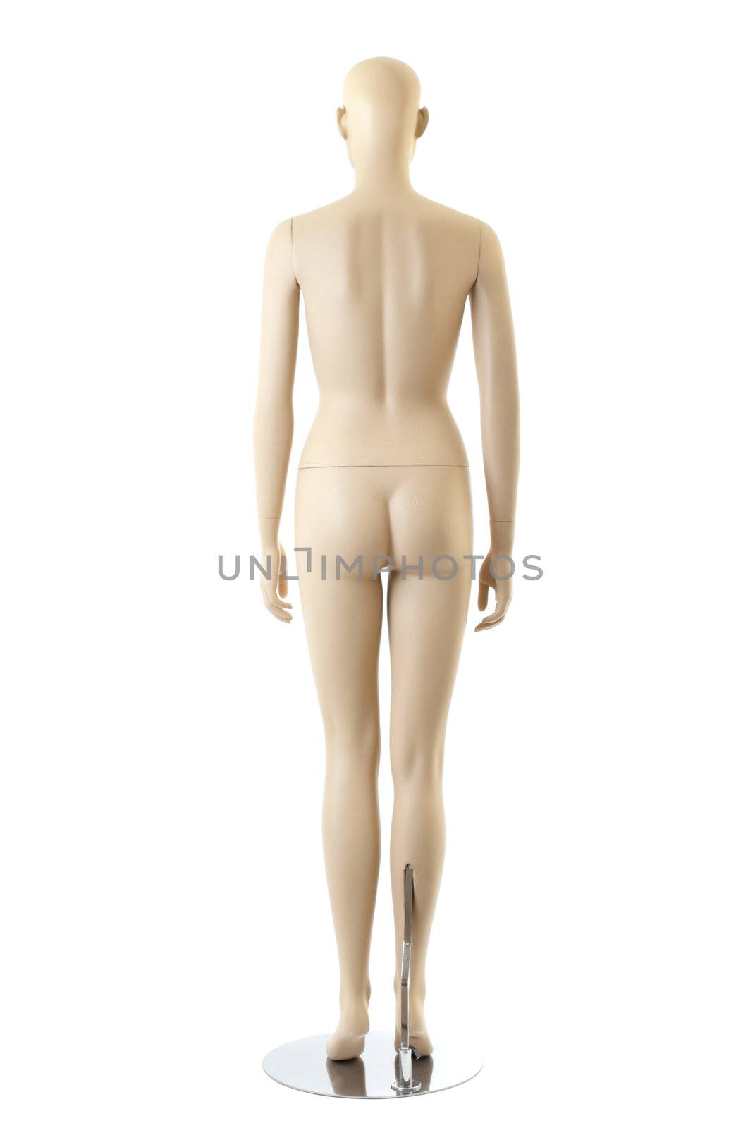 Naked anatomycal female mannequin. Isolated on white background