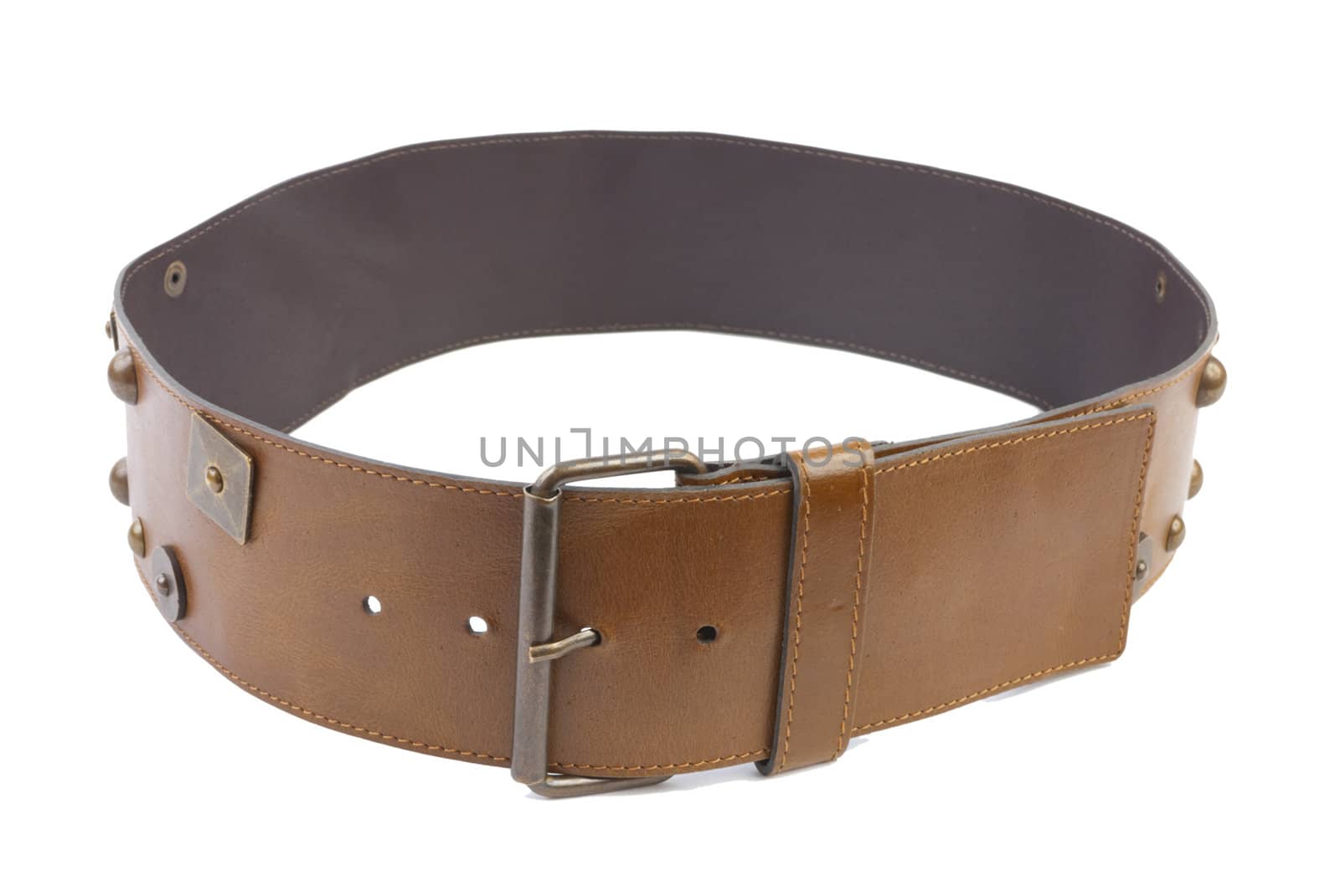 Brown leather belt with rivets. Isolated on white background