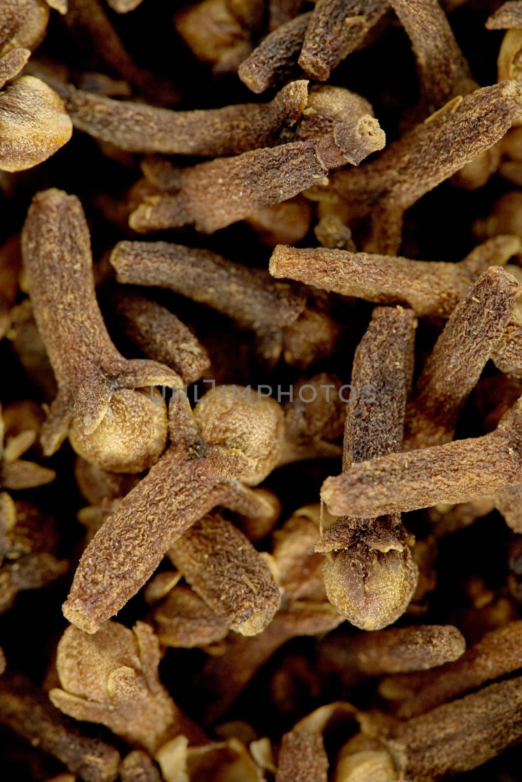 Brown small spice cloves background close up