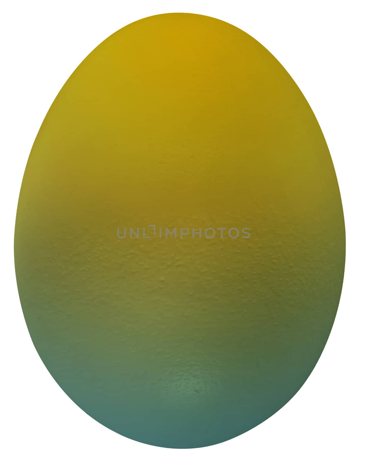 White chicken egg isolated on white with a clipping path.