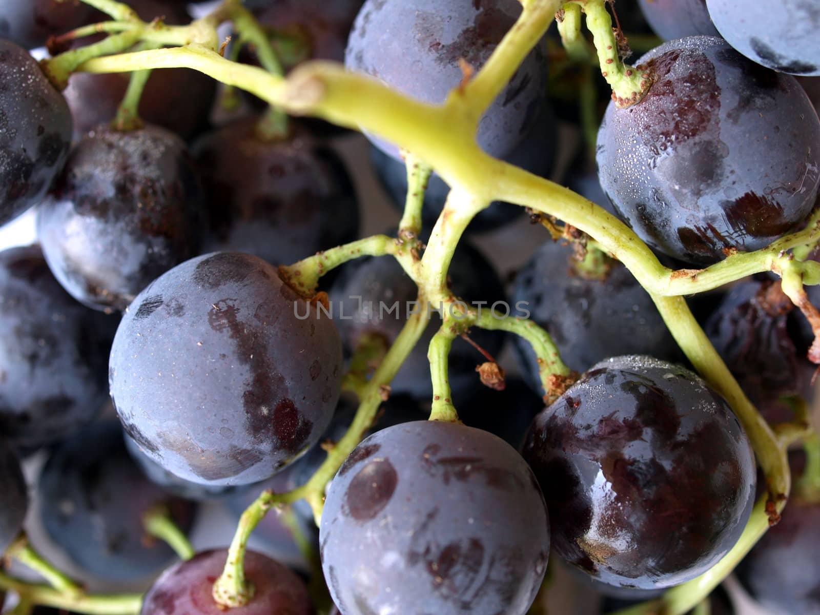 Grape by claudiodivizia