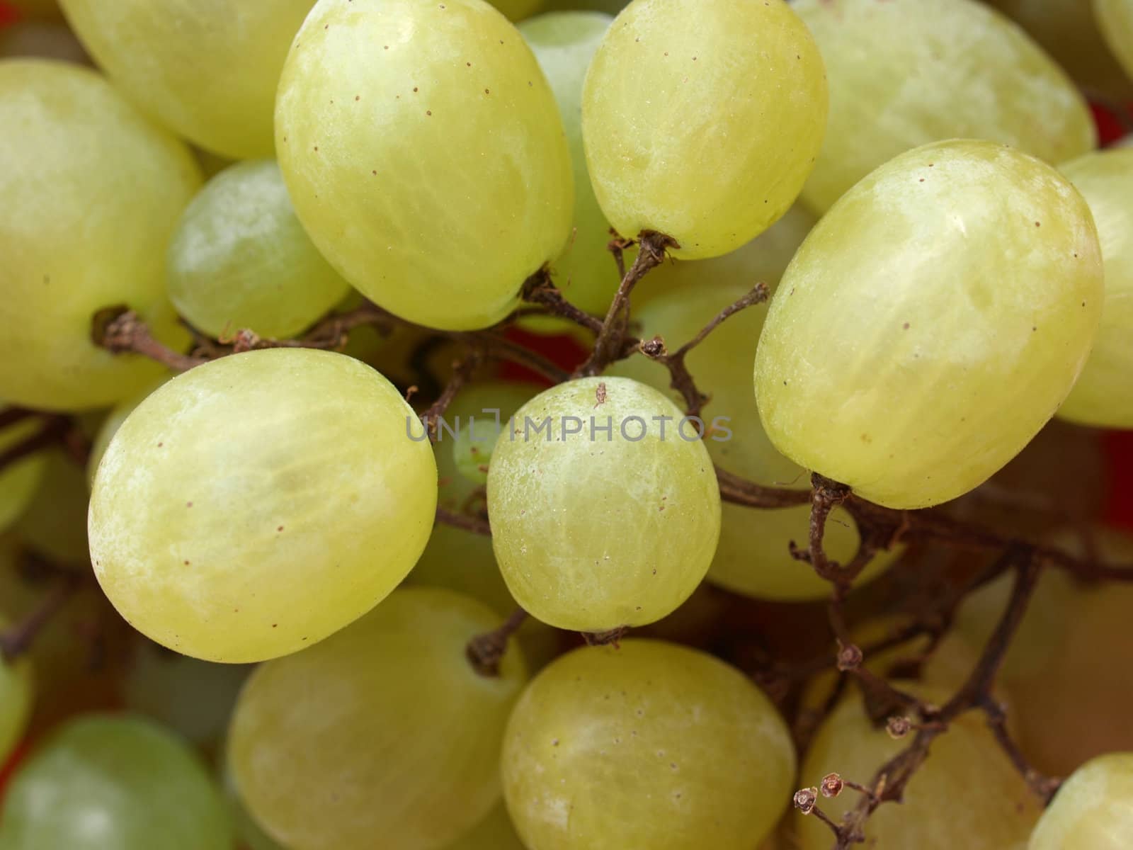 Grape by claudiodivizia